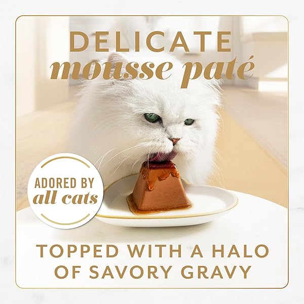FANCY FEAST GEMS PATE CAT FOOD MOUSSE CHICKEN OR BEEF AND A HALO OF SAVORY GRAVY WET CAT FOOD VARIETY PACK – (1) 8 CT. BOXES – 8 CT. BOX