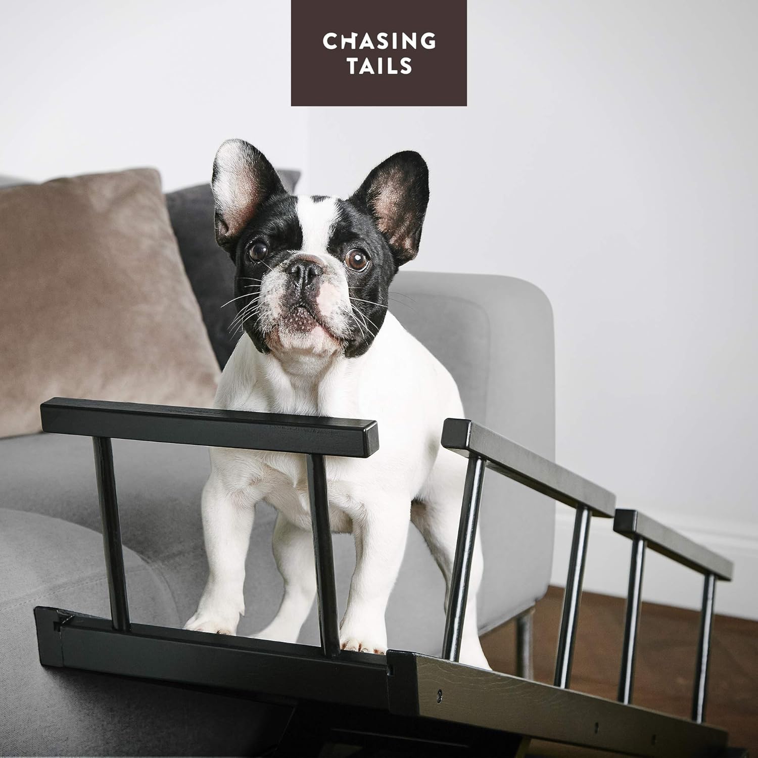 Chasing Tails Dog Ramp for Bed - Pet Ramp for Small/Large Dogs, Paw Ramp for Dogs and Cats, Adjustable Height from 10 to 20 Inches - Sturdy, with Side Rails for Additional Safety : Pet Supplies