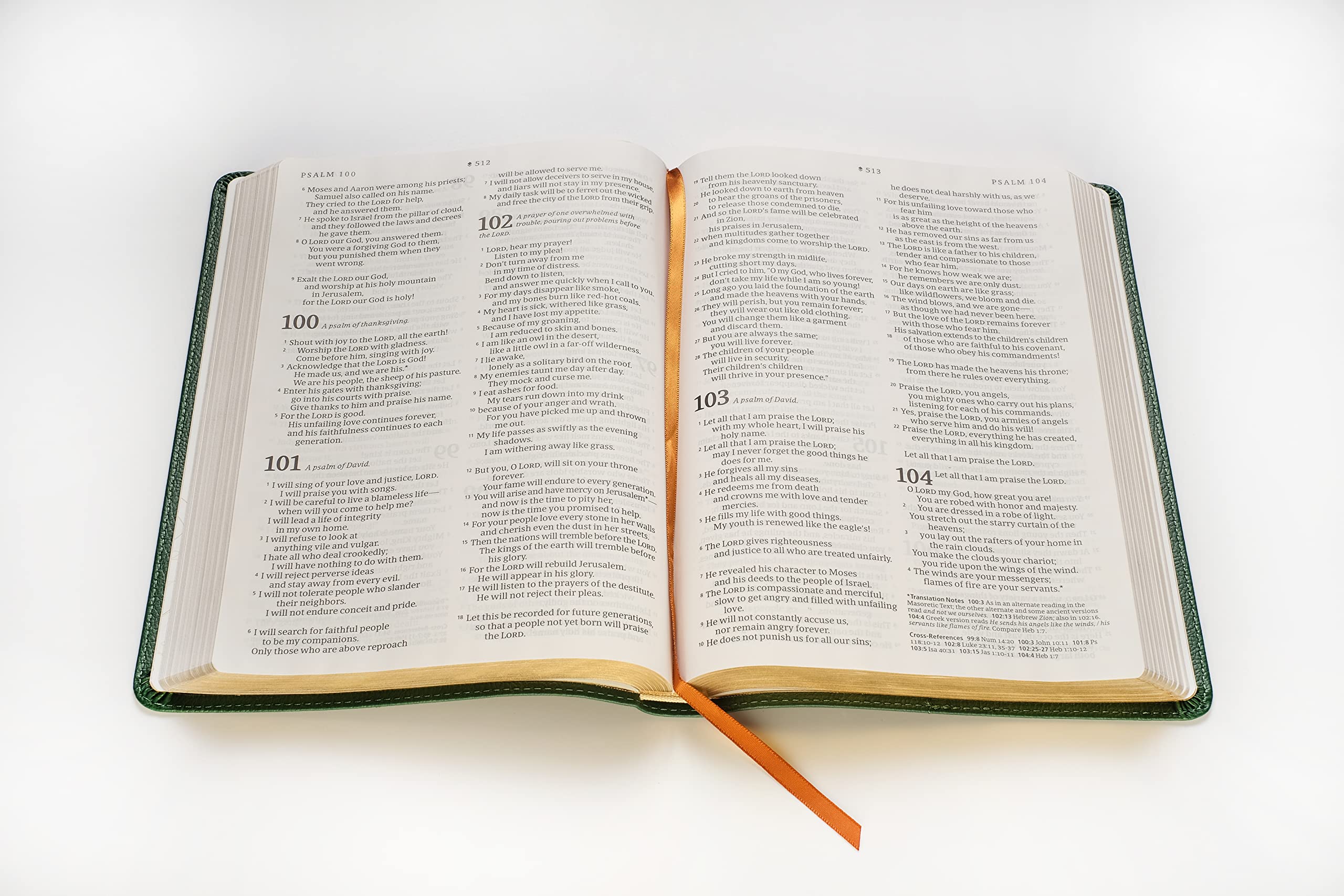 NLT Large Print Thinline Reference Bible, Filament-Enabled Edition (LeatherLike, Evergreen, Red Letter): DaySpring Signature Collection NLT Large Print Thinline Reference Bible, Filament-Enabled Edition (LeatherLike, Evergreen, Red Letter): DaySpring Signature Collection Imitation Leather