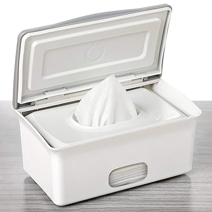 travel wipes container