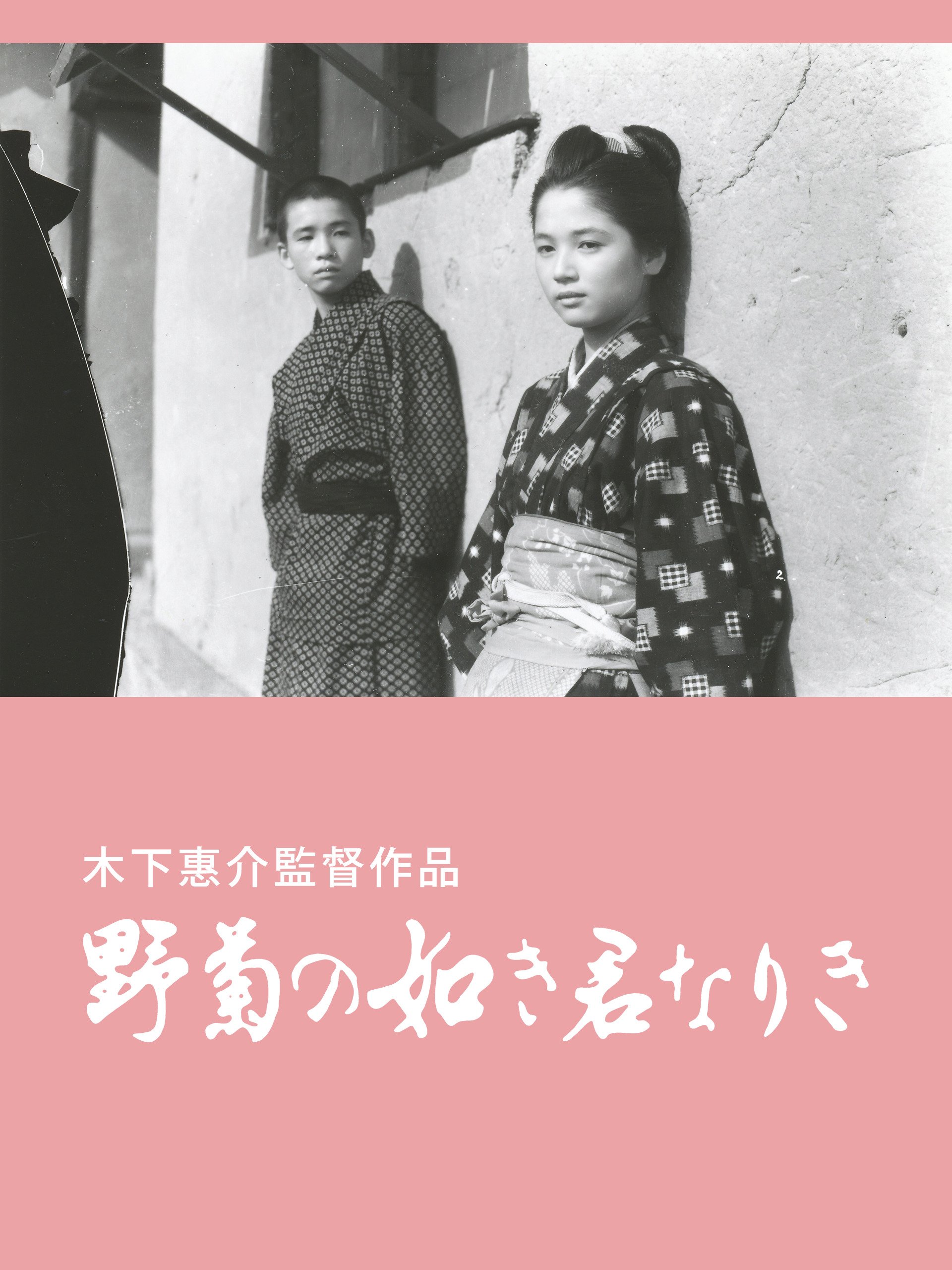 Amazon Co Jp 野菊の如き君なりきを観る Prime Video