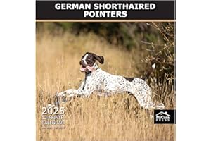 MICASA PRESS MICASA German Shorthaired Pointers 2025 Wall Calendar 12 Month | 12" x 24" Open | Thick & Sturdy Paper | Giftable | Calendar 2025