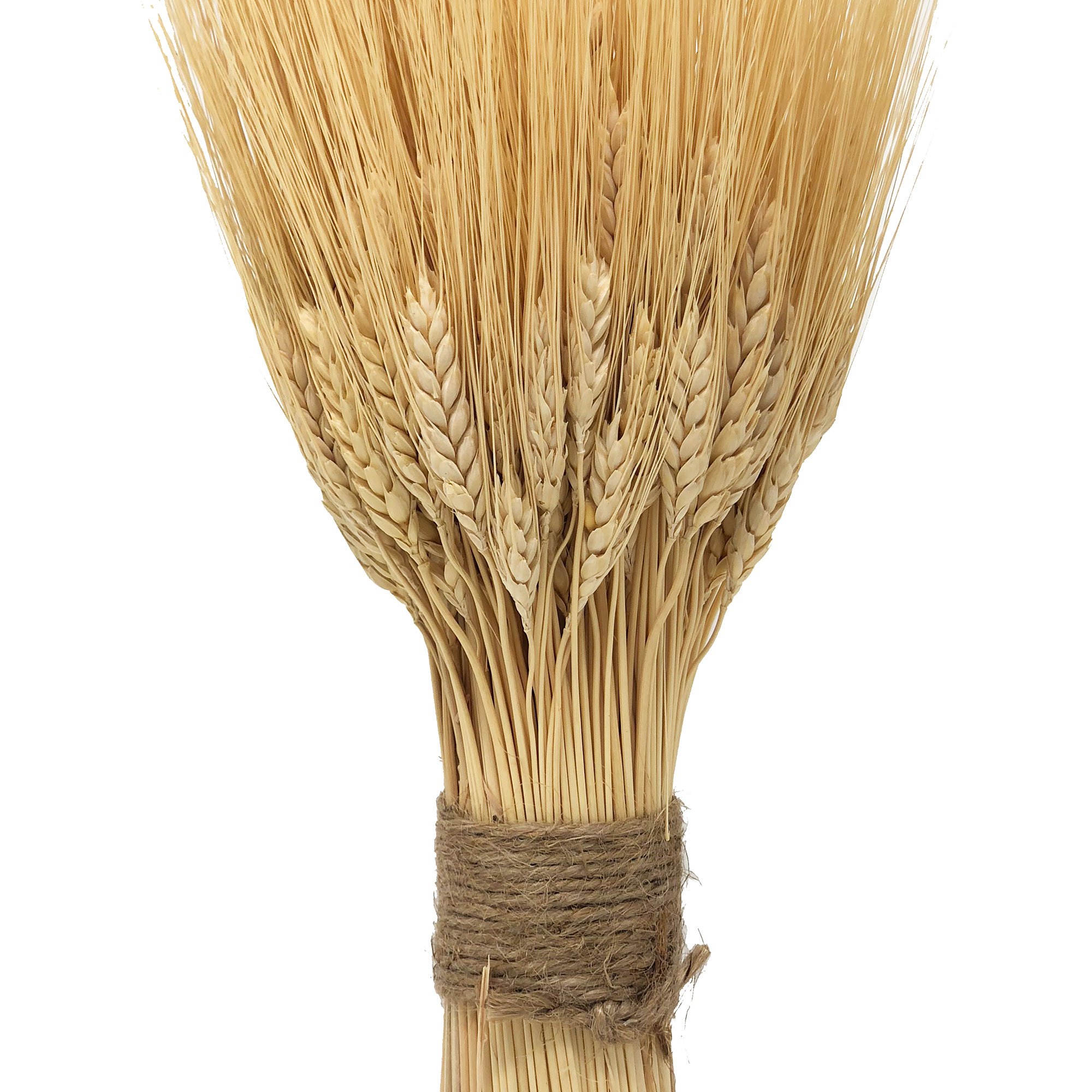 NETTLETON HOLLOW Golden Dried Wheat Sheaves Buy Online in United Arab