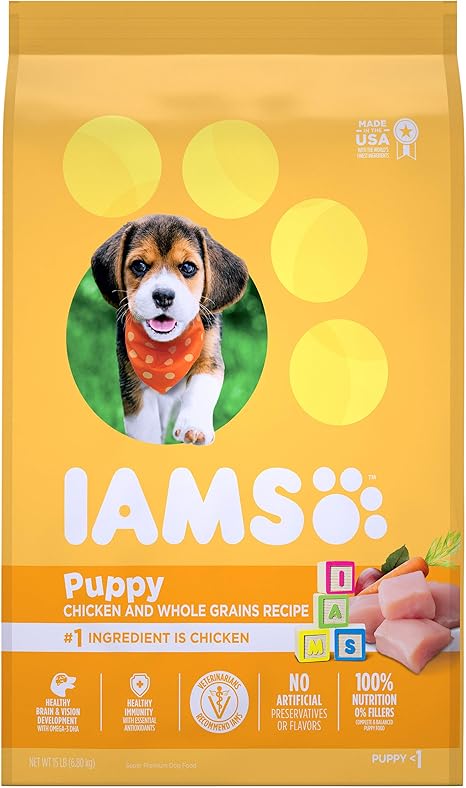 small beagles for adoption