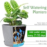 CSYY Plant Pots Indoor 6-Pack 19/17.5/16.5/15.5/14/11.5cm Self Watering Grey view 5