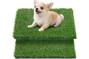 Oiyeefo Artificial Pee Grass Pad for Dogs, Fake Grass Replacement Pads for Dog Potty Tray Training Pet Turf, Indoor and Outdoor Mat- 2 Packs (14" x 18")