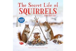 The Secret Life of Squirrels Wall Calendar 2025
