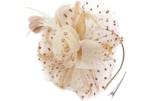 Durzasvo Women's Fascinators Tea Party Wedding Derby Mesh Flower Pearl Feather Fascinator Hat with Headband and Clip