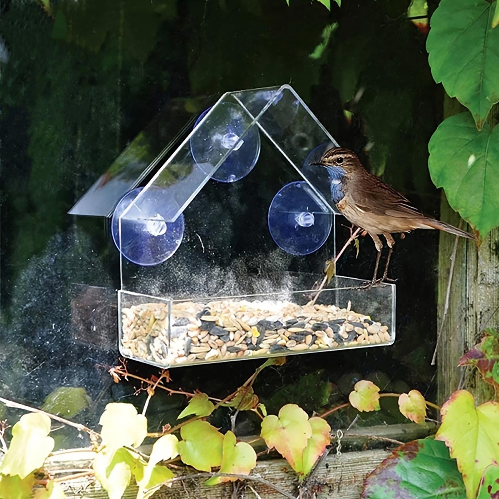 HUANR 2 Stück Vogelfutterhaus Fenster, Saugnäpfe Vogelhaus 15 x 15 x 6 cm 7