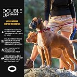 EzyDog Double Up Dog Collar Reflective Pink Medium with ID Tag D-Ring view 2