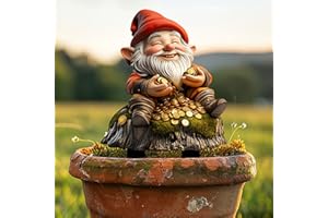 Gnome with Gold Coins Acrylic Garden Stake, Indoor and Outdoor Garden Acrylic Decoration, Idea Gift for Flower Potted Ornamen