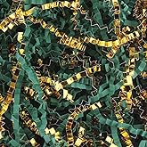 LDKGHE 4 oz Crinkle Cut Paper Shred Filler for Gift Wrapping Baskets Filling Box Birthdays Christmas Thanksgiving Easter Weddings Valentines Mother's Day Anniversaries (Dark green and Gold)