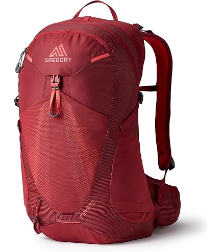 Amazon.com | Gregory (Day Pack) official Black Backpack [Japan