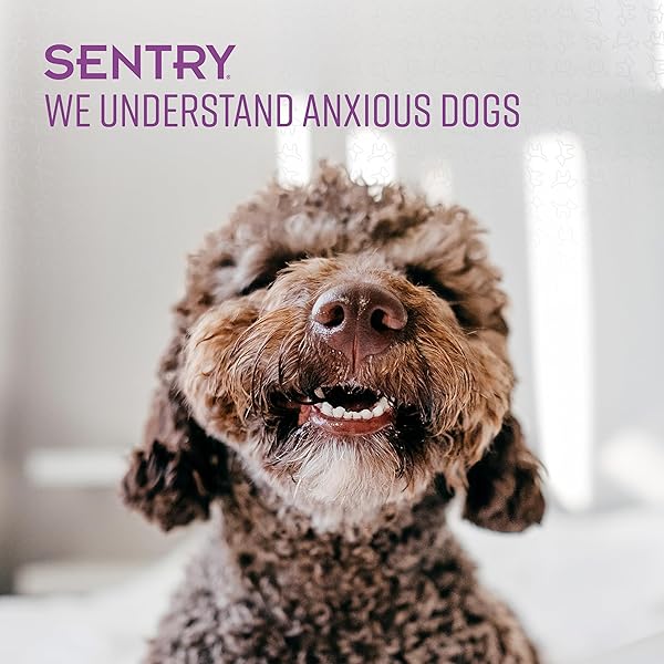 SENTRY CALMING OINTMENT FOR DOGS, FAST-ACTING PHEROMONE SOLUTION TO REDUCE STRESS FOR ANXIOUS DOGS, 1.5 OZ
