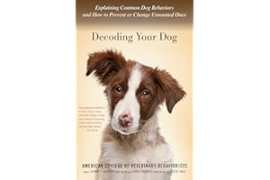 Decoding Your Dog: Explaining Common Dog Behaviors and How to Prevent or Change Unwanted Ones