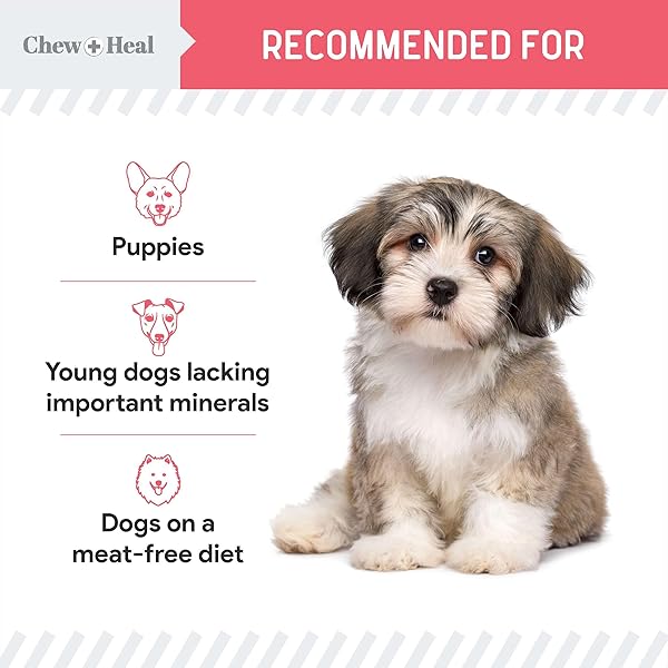 CHEW + HEAL LABS DOG SALMON JERKY FOR PUPPIES – 12 OZ OF WILD CAUGHT ALASKAN SALMON JERKY FOR PUPPY DEVELOPMENT WITH CHICKPEAS, CARROTS, SWEET POTATO, AND FRUIT – MADE IN THE USA