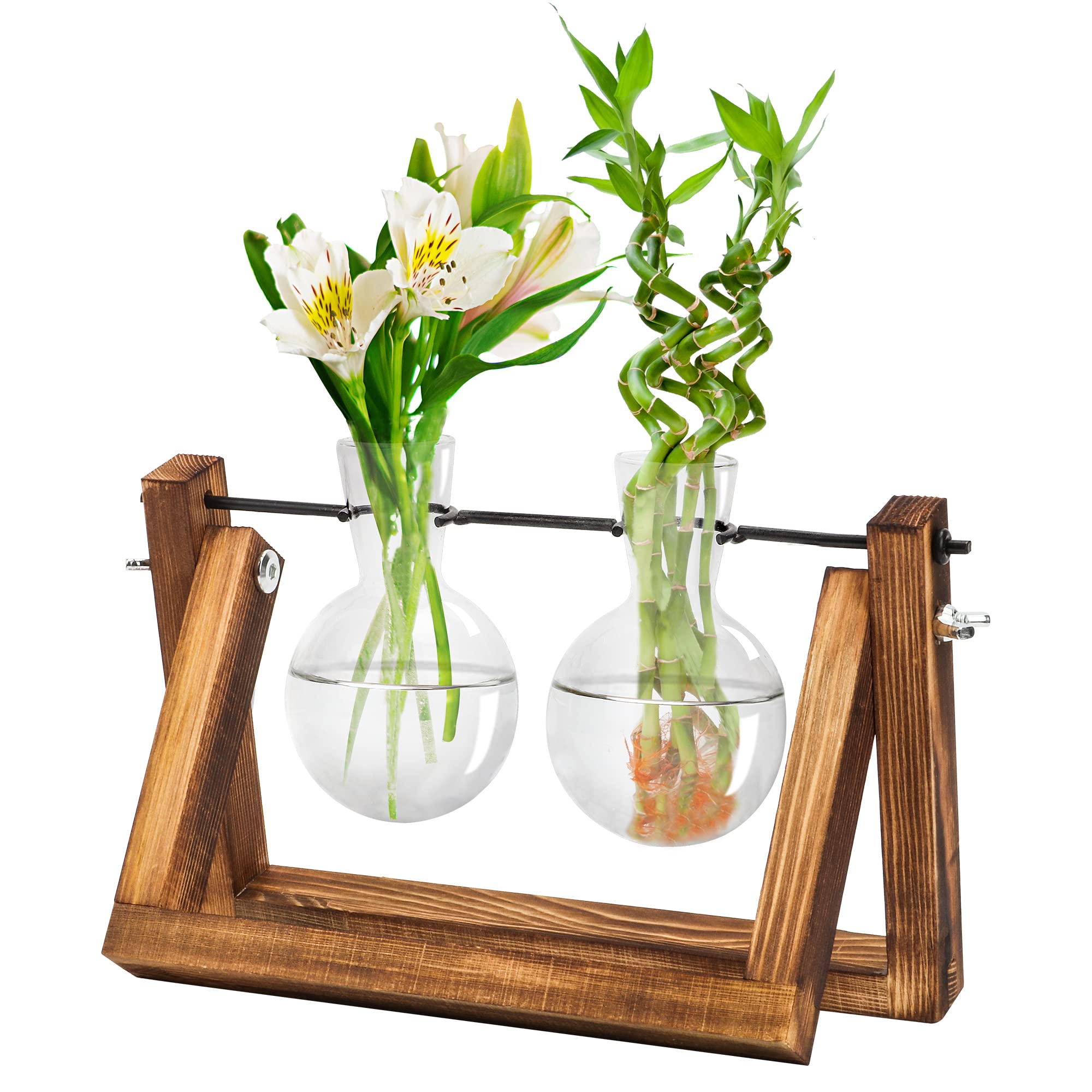Planter Terrarium with Retro Wooden Stand Desktop Air Planter Propagation Stations Heart Bulb Glass, Hydroponics Plants for Home Garden Office Wedding Decor (2 Glass)