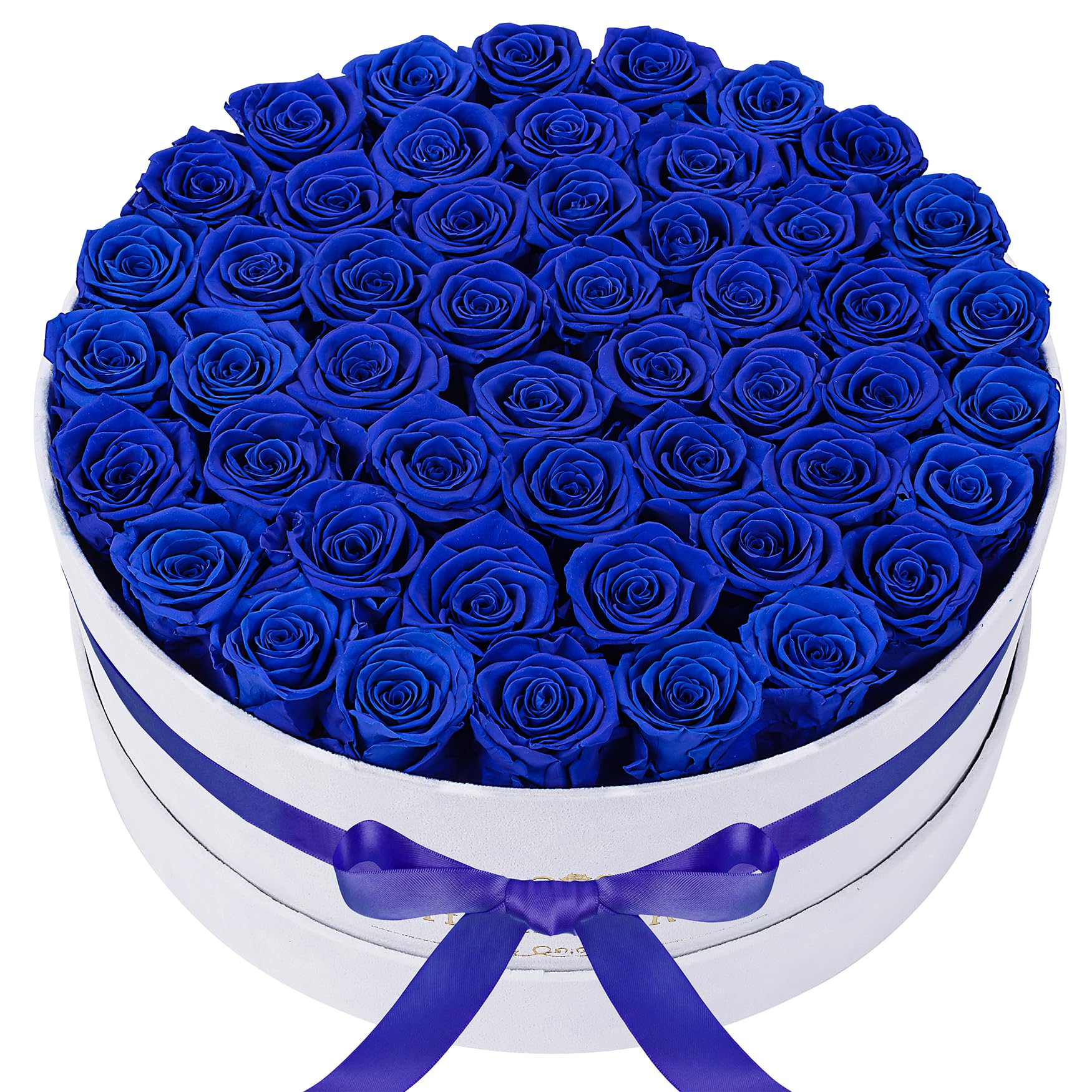 Photo 1 of 50 Piece Roses in a Velvet Box, Flowers for Delivery, Presereved Flowers Birthday Gifts for Women Mom and Wife (Royal Blue)