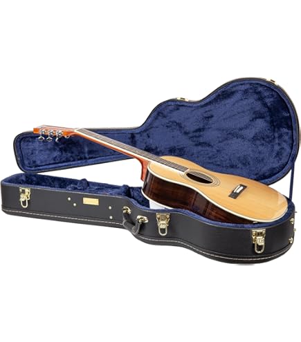 Amazon.com: Epiphone EL-0CS Case for Epiphone EL-00 Acoustic