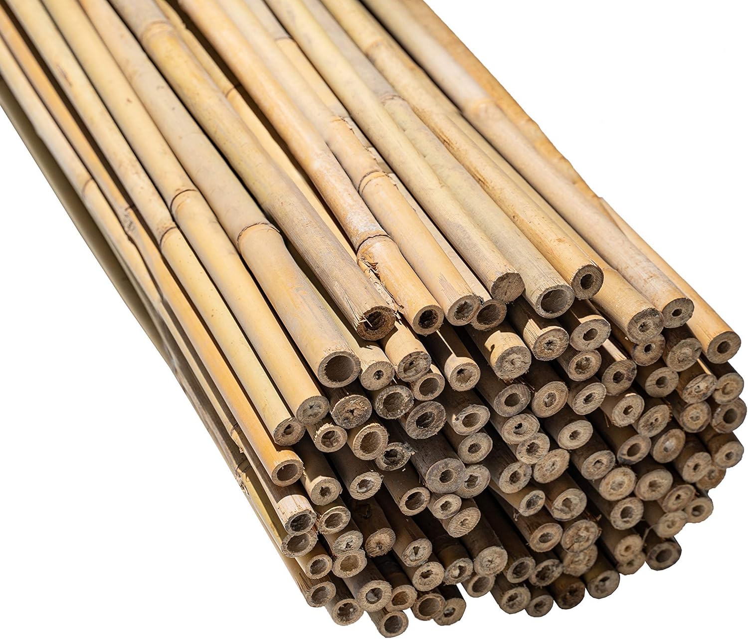 Amazon Com Bond Manufacturing N618 6 Ft X 3 4 In Diameter Bamboo Stakes 100 Pack Natural Garden Outdoor