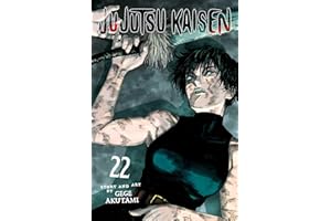Jujutsu Kaisen, Vol. 22