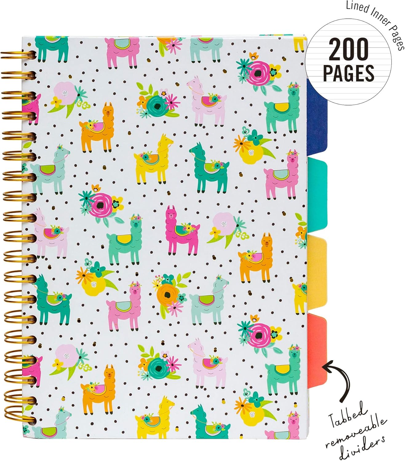Pukka Pad, Carpe Diem 5-Project Double Spiral Bound Notebook 3-Pack with Repositionable Dividers - Image 4