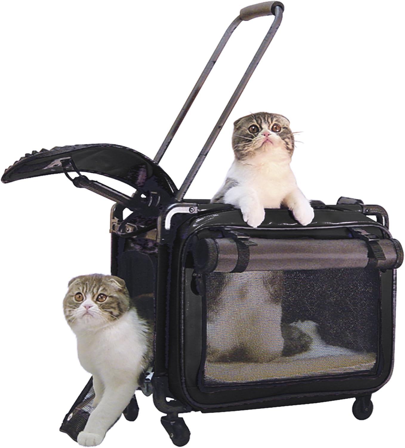 Tutto Medium Pet on Wheels Stroller, 20-Inch, Black : Pet Carrier Strollers : Pet Supplies