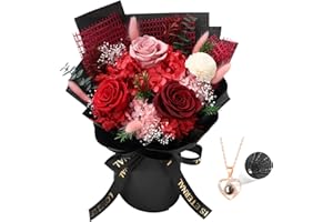 Casaido Preserved Flowers for Delivery, Red Flower Bouquets with Necklace, Forever Real Roses Anniversary Birthday Gifts for Women Mom Wife Girlfriend, Fresh Flowers for Valentines Day Christmas