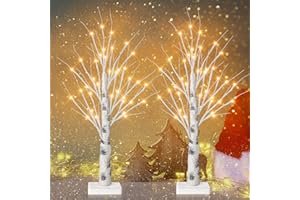 Remon 2FT Birch Tree Light with 36 LEDs Tabletop Lamp with Timer, Lifelike Artificial Hand Drawn Tree for Home Party Wedding Holiday, Jewelry Holder, Battery Operated Small Christmas Tree(2PK)