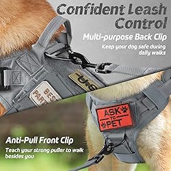 rabbitgoo Tactical Dog Harness for Large, Heavy