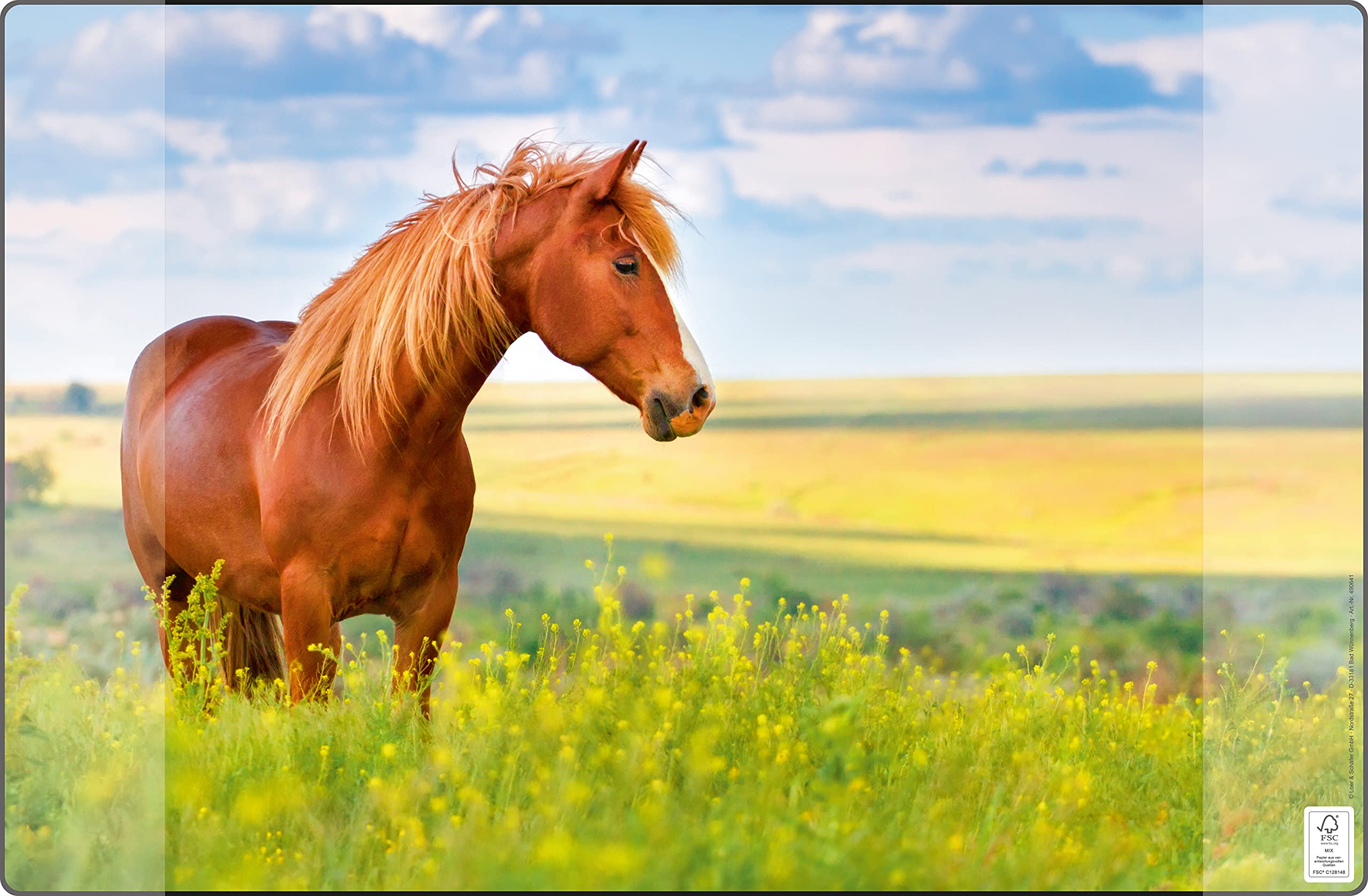 Desk Mat Kangaro Horse Non-Slip 38 x 58 cm with Two Pockets for Children, Teenagers and Study