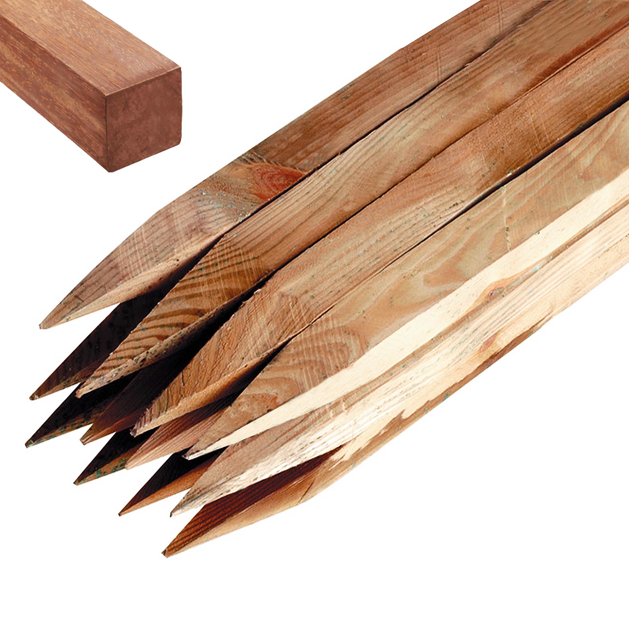 Garden Stakes 30cm (1ft) Long Wooden Stakes for Plant & Tree Support - 5 Pack Pressure Treated Timber, 2.5cm Thick Wood Stakes by Circle of Trust