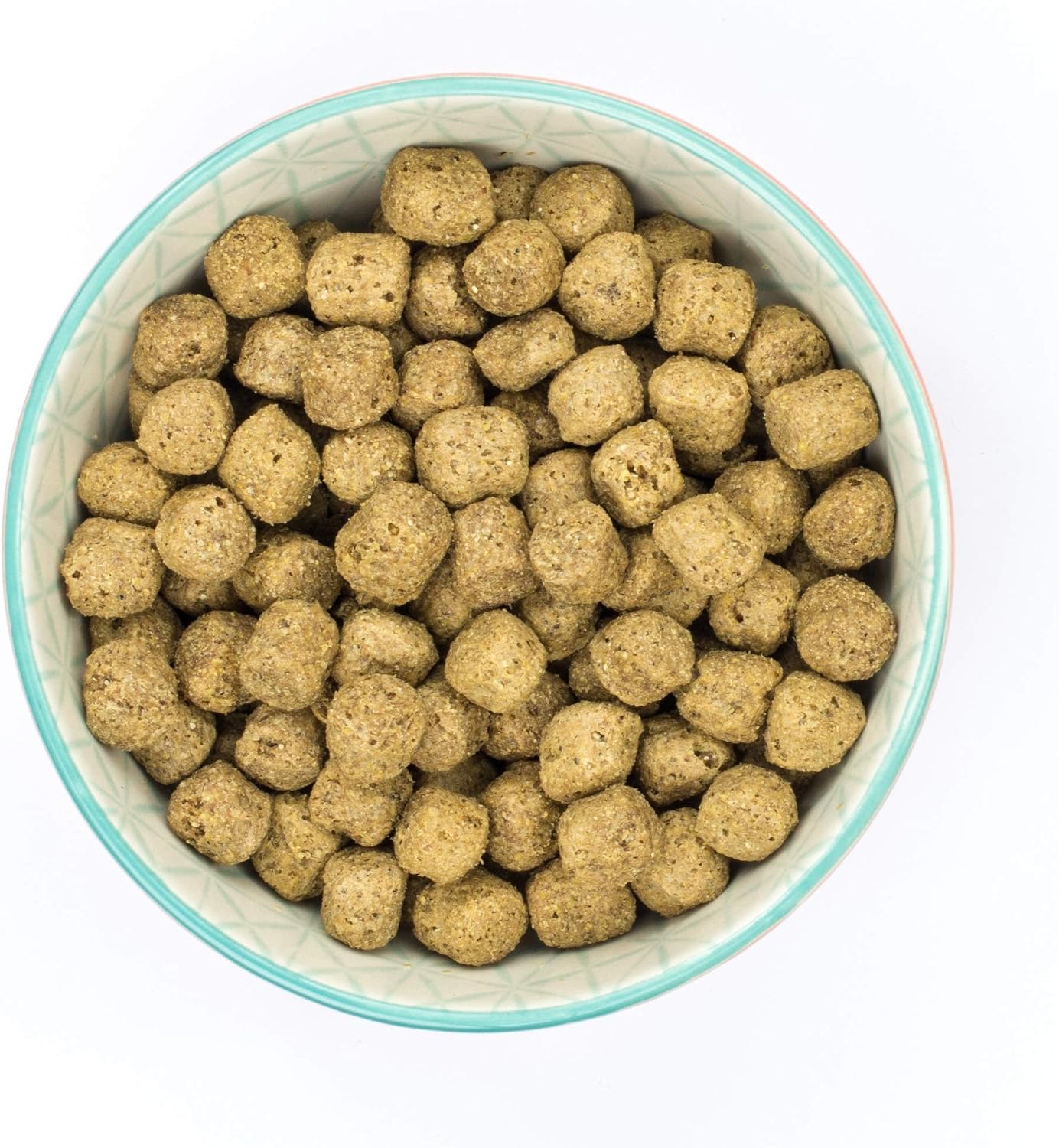 Burns Pet Nutrition Hypoallergenic Complete Dry Dog Food Adult and Senior Dog Sensitive with Chicken 6 kg - Image 4
