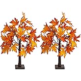 Dazzle Bright 2 Pack 24 Inch Lighted Thanksgiving Fall Maple Tree Decor, 24 LED Battery Operated Decorations Artificial Tree with Timer for Indoor Home Room Holiday Xmas Party