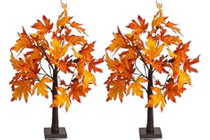 Dazzle Bright 2 Pack 24 Inch Lighted Thanksgiving Fall Maple Tree Decor, 24 LED Battery Operated Decorations Artificial Tree with Timer for Indoor Home Room Holiday Xmas Party