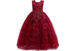 Weileenice Little/Big Girl Lace Party Dress Embroidery Dresses Kids Princess Holiday Pageant Maxi Ball Gown