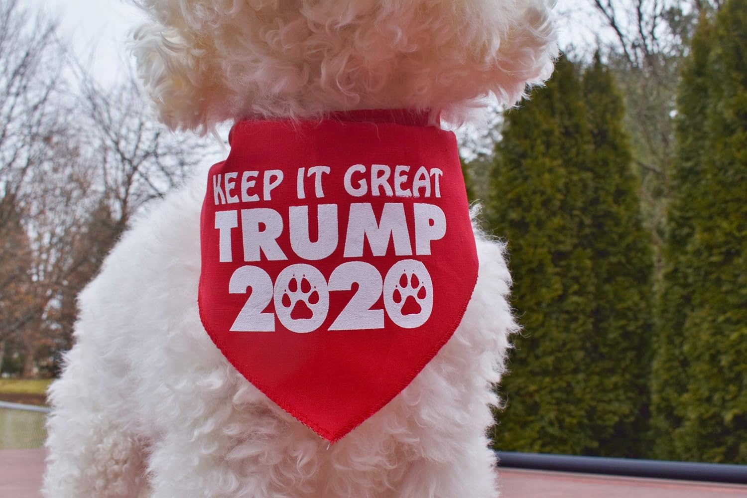 Amazon Com Keep It Great Trump 2020 Triangular Dog Bandana Tie On Pet Scarf 4 Sizes Made In Usa Handmade