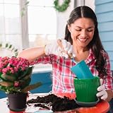 EarlyGrow 50cm Plant Pot Saucers 2-Pack 52cm Top 47cm Base 6cm Deep view 6