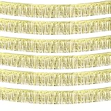 6 Pack 10 Feet Foil Fringe Garland Metallic Tinsel