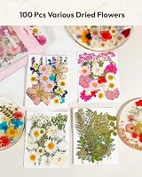 Resiners 100 Pcs Dried Flowers for Resin Crafts Preserved Real Flowers Kit view 6