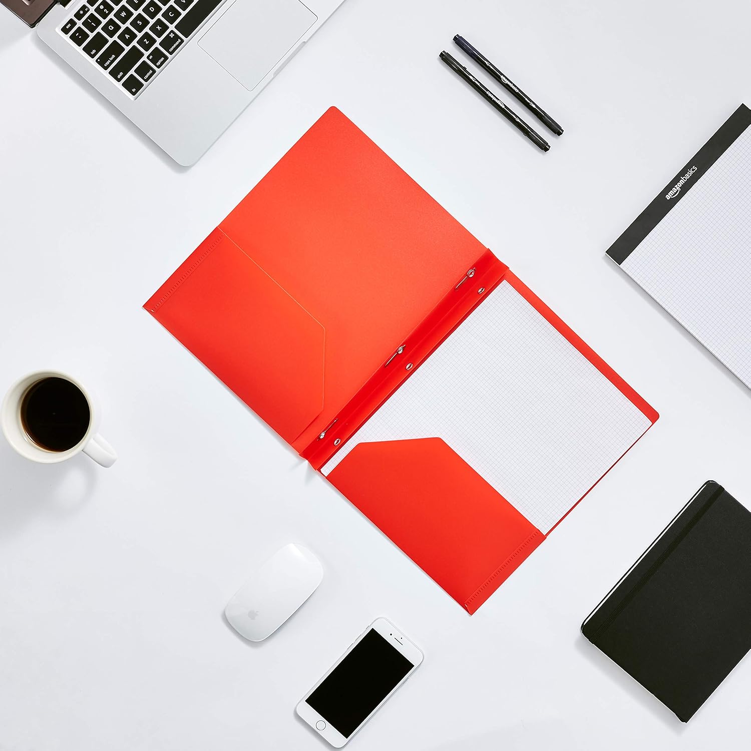 Basics Heavy Duty Plastic Folders with 2 Pockets for Letter Size Paper, Pack of 12 : Office Products