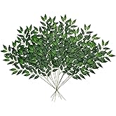 24pcs Artificial Italian Ruscus Greenery Stems, Faux Green Leaf Branches for Wedding Bouquets, Hanging Garland, Arch Decor, Table Centerpieces, Home Floral Arrangements (24)