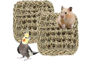 XIYAXIVICI 2 PCS 7 x 7 Inches Seagrass Mat, Natural Seagrass Woven Bird Net Hammock Mat, Cage Accessories, Climbing Rope Ladder Chew Toys for Parrots, Cockatoos, Lovebirds, Cockatiels, Budgies, Parakeets