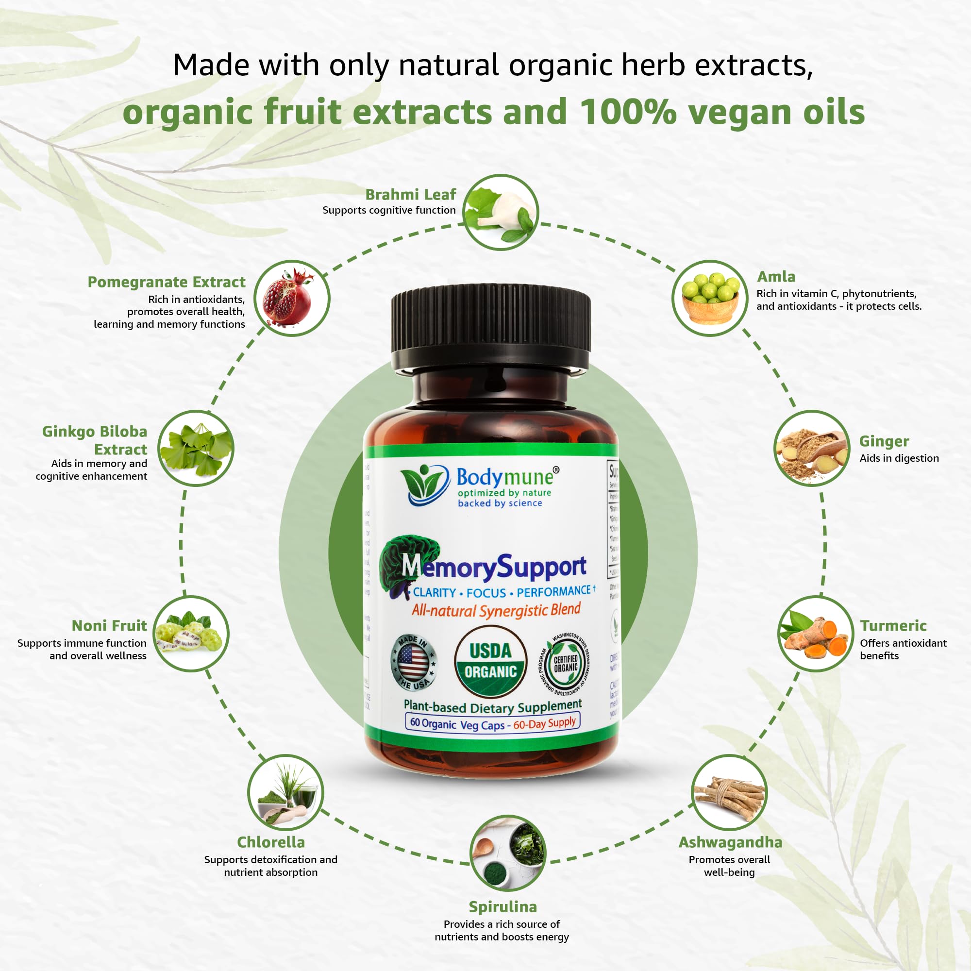 Bodymune MemorySupport Brain Health Formula | Supports Mental Clarity, Recall & Concentration* | USDA Organic Nootropic Blend with Ginkgo Biloba & Ashwagandha | 60 Vegan Caps | Made in USA
