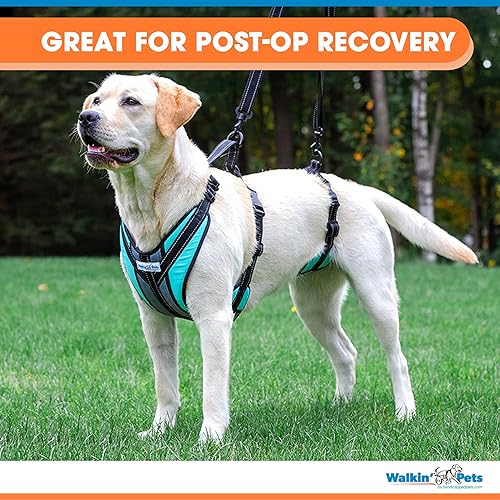 Lift-n-Step Dog Harness for Full Body Support Helps Dogs with