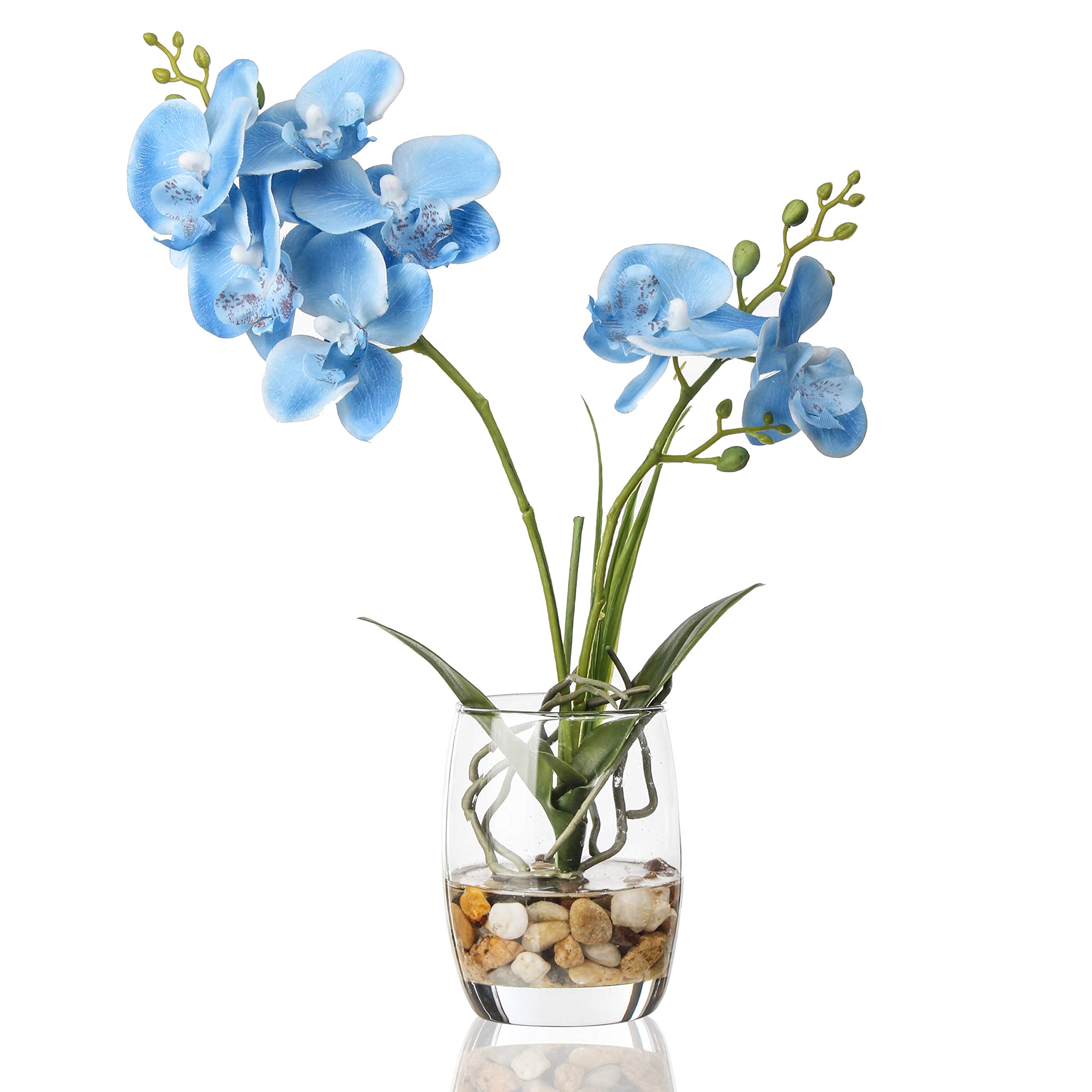 Alyphyly Artificial Flower Bonsai with Glass Vase Vivid Orchid Flowers Arrangement Phalaenopsis Flowers Pot for Home Office Décor Table Centerpiece House Decorations(Glass Vase/Blue Orchid)
