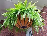 Review Image by M Krenz