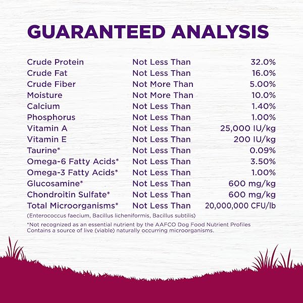 WELLNESS COMPLETE HEALTH DRY DOG FOOD, SMALL BREED, GRAIN FREE, NATURAL, TURKEY, CHICKEN, & SALMON RECIPE (4-POUND BAG)