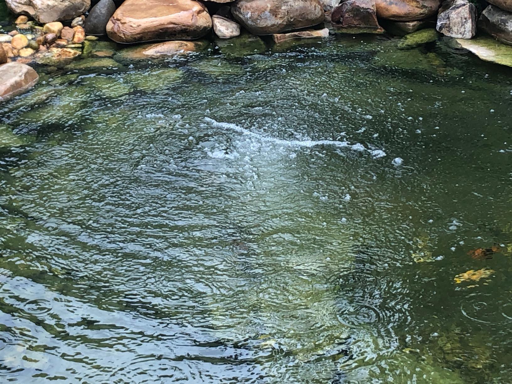 16/mo Finance CrystalClear KoiAir 2, Complete Pond Aeration Kit