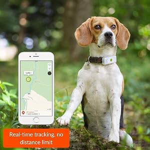 Weenect Dogs 2 - El collar GPS para perros más pequeño del mundo
